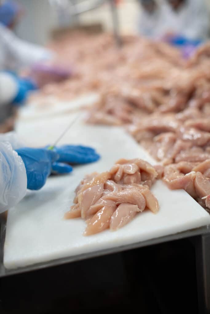employee processing chicken