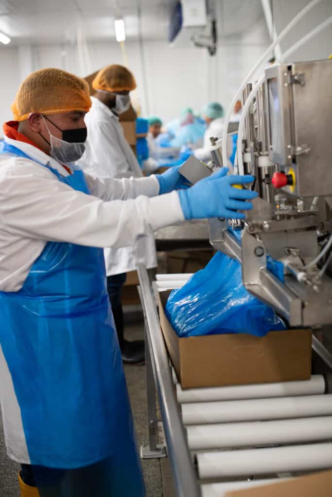workers packaging processed chicken
