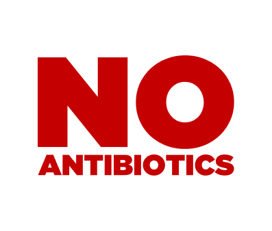 'No Antibiotics' image